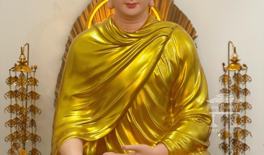 Ý NGHĨA ẤN TƯỚNG ĐỊA XÚC CỦA ĐỨC PHẬT