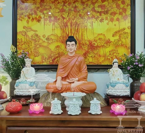 Feedback khách hàng